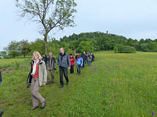 Exkursion am Geisingberg