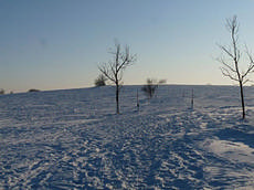 Schneeverwehung zwischen Fürstenau und Gottgetreu