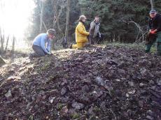 Wiederherstellung einer Waldsteinrücke