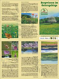 Flyer Bergwiesen im Osterzgebirge