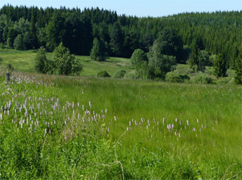 Quellgebiet der großen Biela