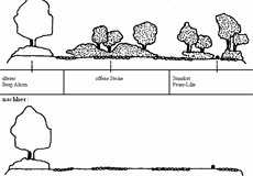 Schema Pflege der Steinrücke im Längsschnitt