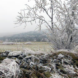 Steinrücke Winter